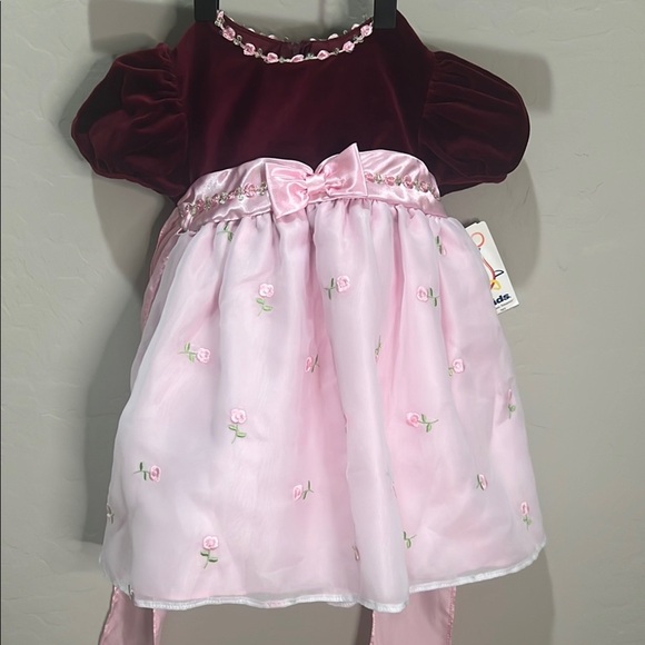 Vintage Dress Baby Toddler  Pink Maroon Roses Velvet Tulle Girl Formal Easter - Picture 2 of 11